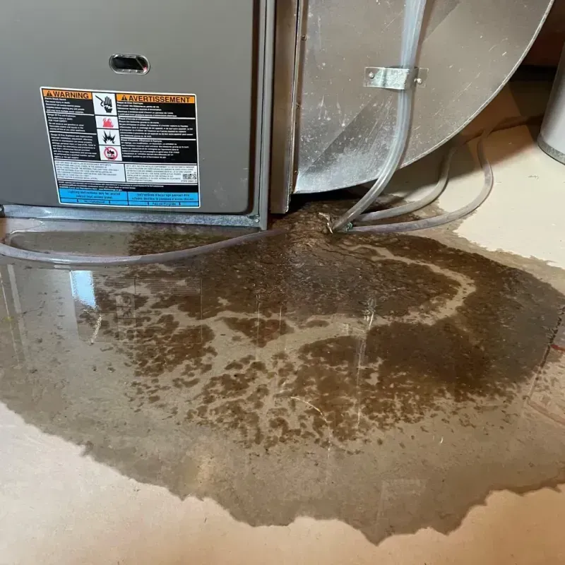 Appliance Leak Cleanup in Tipton County, IN